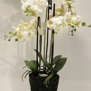 Orchidee – Kunstpflanze