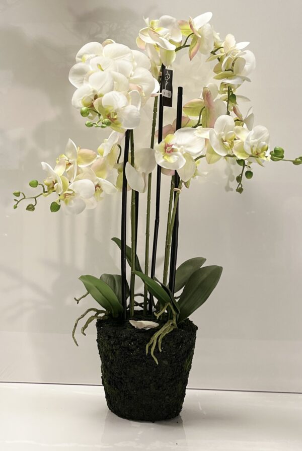 Orchidee – Kunstpflanze