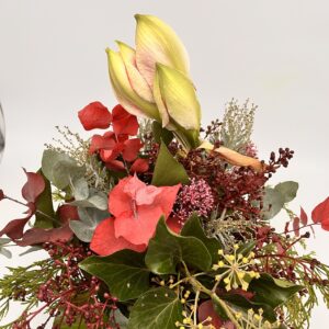 Kleine Amaryllisfreude