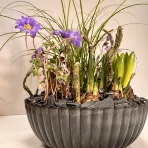 Pflanzschale "Bunter Frühling"-Zwiebelzauber