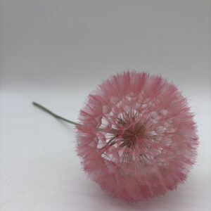 Pusteblume "rosa" - konserviertes Naturkunstwerk
